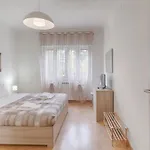 La Fine Del Mondo Trieste